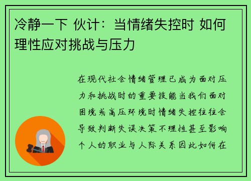 冷静一下 伙计：当情绪失控时 如何理性应对挑战与压力